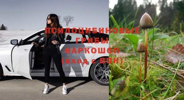винт Абинск