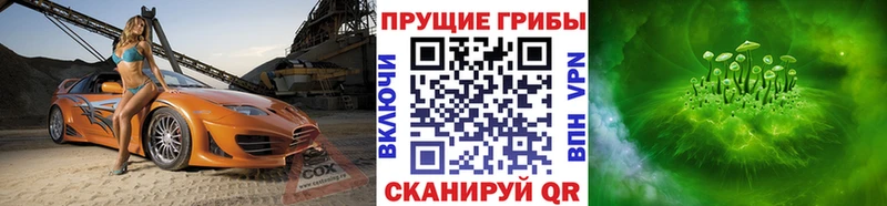 Псилоцибиновые грибы прущие грибы  Барыш 